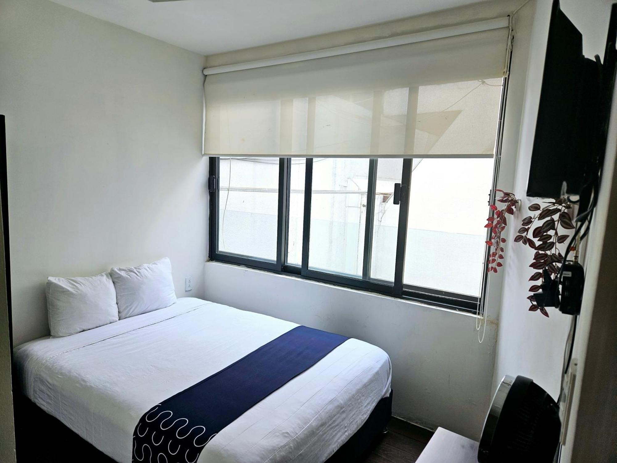 Hotel Singular Socrates Città del Messico Esterno foto